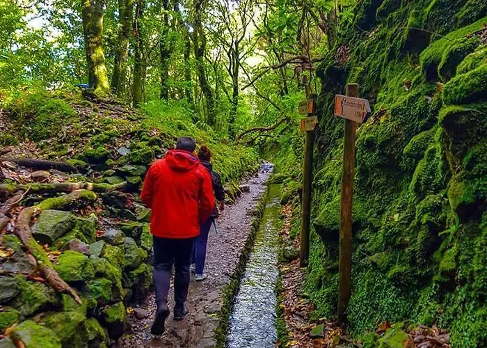 Favinha Rooftop * Machico (Madeira)