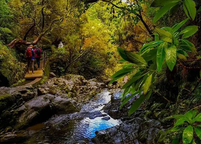 Holiday home Favinha Rooftop