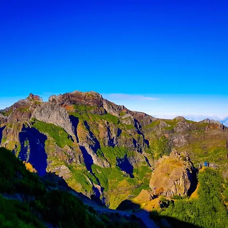 Dom wakacyjny Favinha Rooftop *