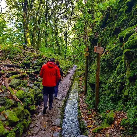 Favinha Rooftop * Machico (Madeira)