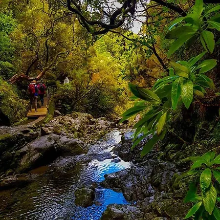 Dom wakacyjny Favinha Rooftop